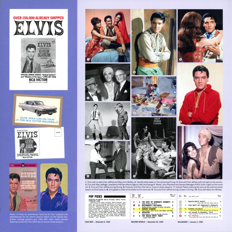 LP Harem Holiday FTD 506020 975198